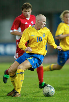 Alexander Farnerud, Sverige