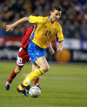 Zlatan Ibrahimovic, Sverige