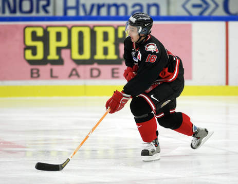 Ishockey, Elitserien, Malmö - Djurgården