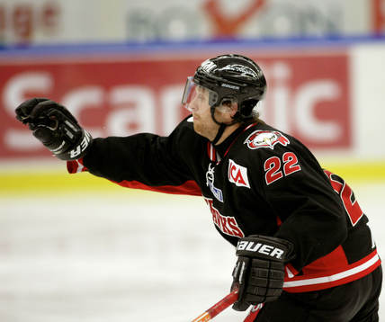 Ishockey, Elitserien, David Petrasek, Malmö