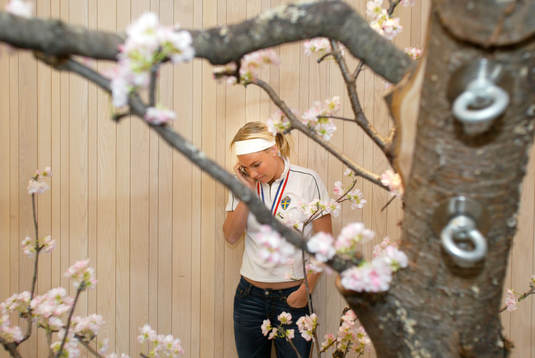 Hanna Marklund, Sverige