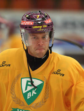 Martin Lindman, Färjestad