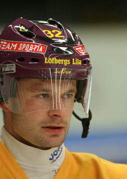 Radek Hamr, Färjestad