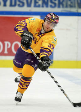 Radek Hamr, Färjestad