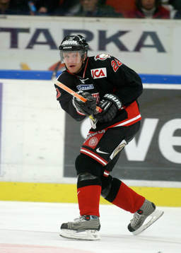 David Petrasek