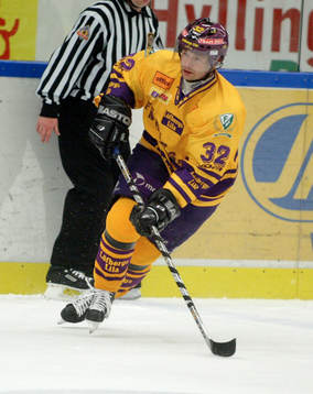 Radek Hamr, Färjestad