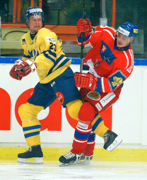 Ronnie Sundin, Sverige