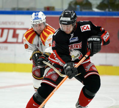 Peter Nylander, Brynäs och David Petrasek, Malmö