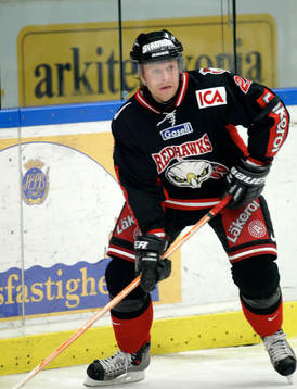 David Petrasek
