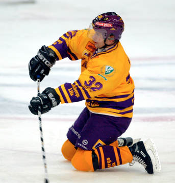 Radek Hamr, Färjestad