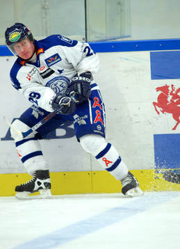 Henrik Nordfeldt, Leksand