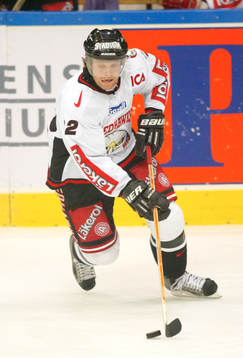 David Petrasek, Malmö