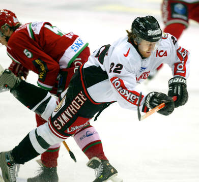 David Petrasek, Malmö