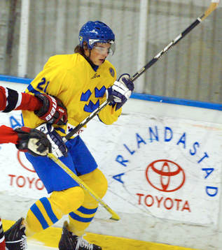 Loui Eriksson, Sverige