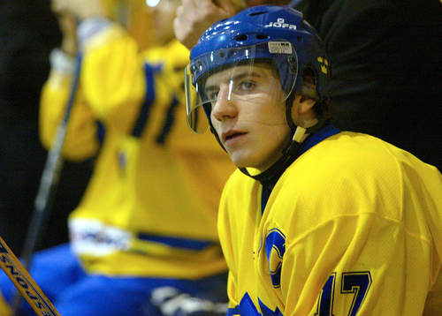 Alexander Steen, Sverige