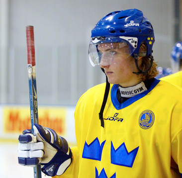 Andreas Valdix, Sverige