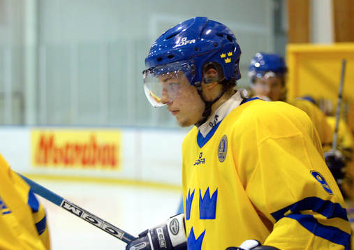 Robert Nilsson, Sverige