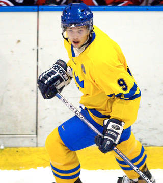 Robert Nilsson, Sverige