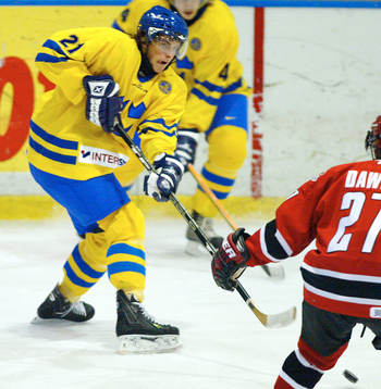 Loui Eriksson, Sverige