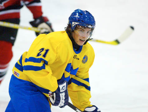 Loui Eriksson, Sverige