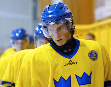 Loui Eriksson, Sverige
