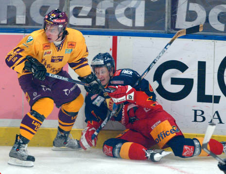 Calle Steen, Färjestad och Ronnie Pettersson, Djurgården