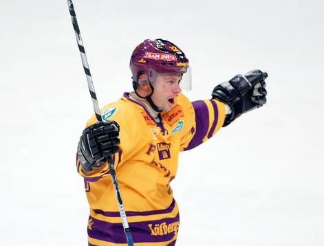 Radek Hamr, Färjestad