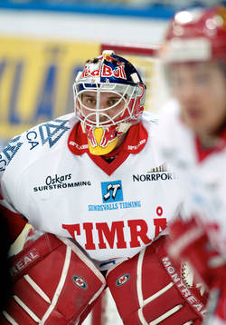 Kimmo Kapanen,  Timrå