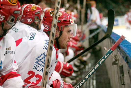 Christer Sjögren, Timrå. Bänk, bås