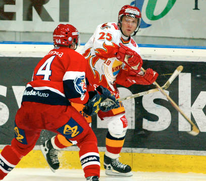Mikael Johansson, Djurgården