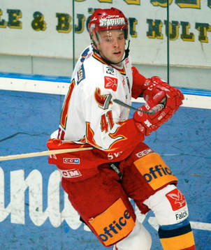 Richard Lintner, Djurgården