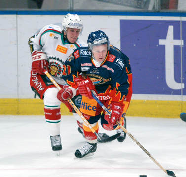 Espen Knutsen, Djurgården gjorde comeback