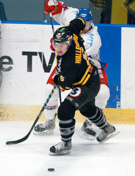 Patrik Wallenberg, AIK