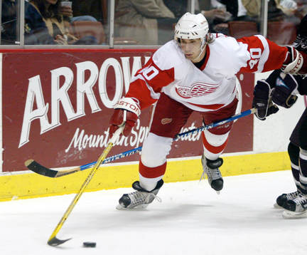 Henrik Zetterberg, Detroit Red Wings