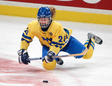 Danijela Rundqvist, Sverige
