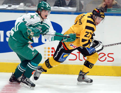 Johan Hägglund, Hammarby och Steve Potvin, Skellefteå