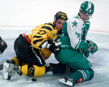 Steve Potvin, Skellefteå och Stefan Töyrä, Hammarby