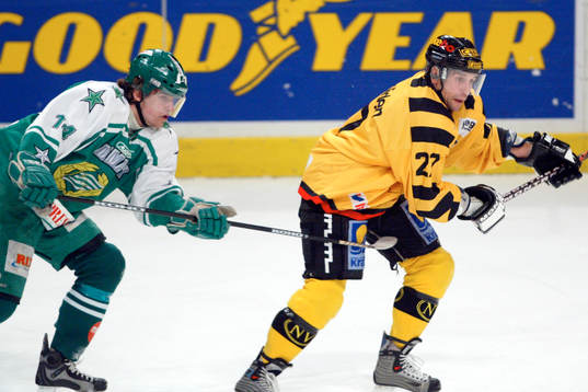 Johan Hägglund, Hammarby och Steve Potvin, Skellefteå