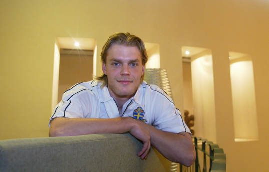 Johan Arneng, Sverige