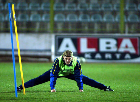 Johan Arneng, Sverige