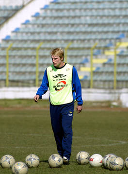 Petter Hanssson, Sverige