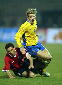 Pontus Farnerud, Sverige