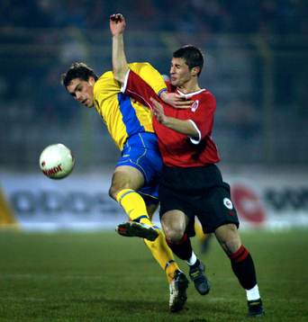 Johan Elmander, Sverige
