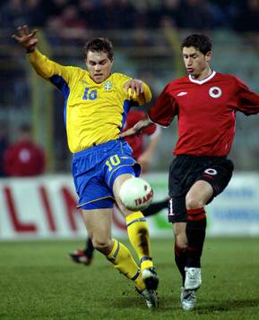 Johan Elmander, Sverige