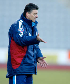 Zoran Lucic, tränare, Djurgården