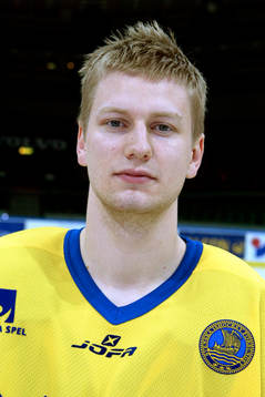 Mikael Holmqvist