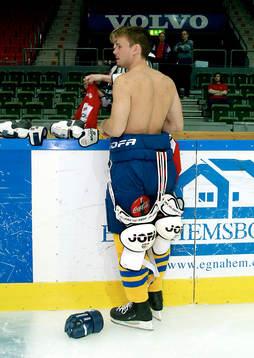 Spelare, skydd, utrustning, handske