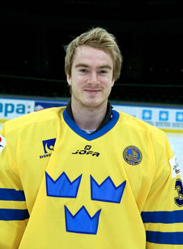 Mikael Tellqvist, målvakt