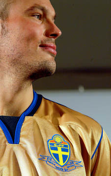 Fredrik Ljungberg, Sverige