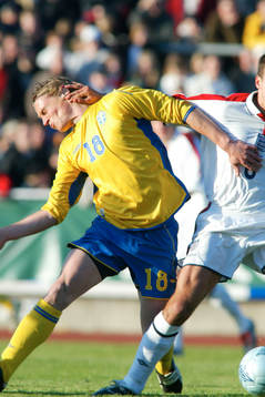Markus Rosenberg, Sverige